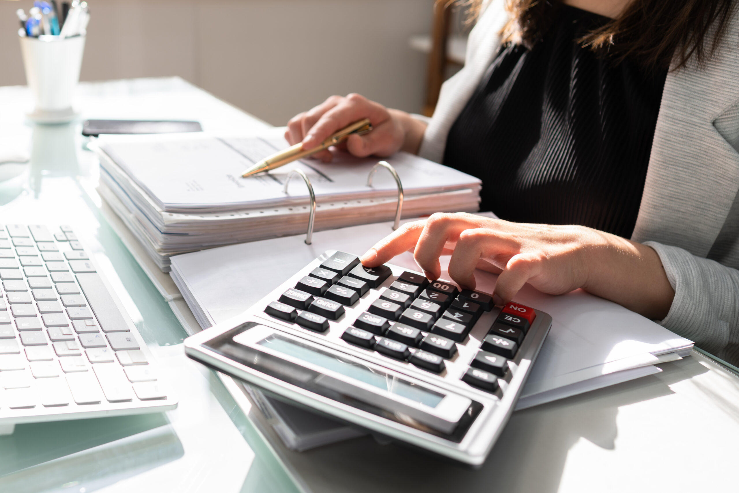 Professional Accountant Woman In Office. Finance Invoice Accounting